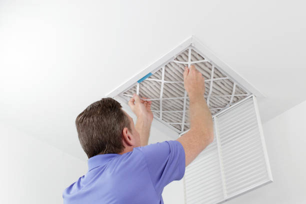 Best Air Duct Mold Removal  in Oracle, AZ